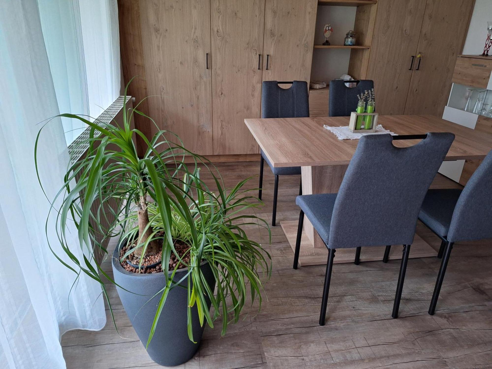 Apartment Eva Sautens Bagian luar foto